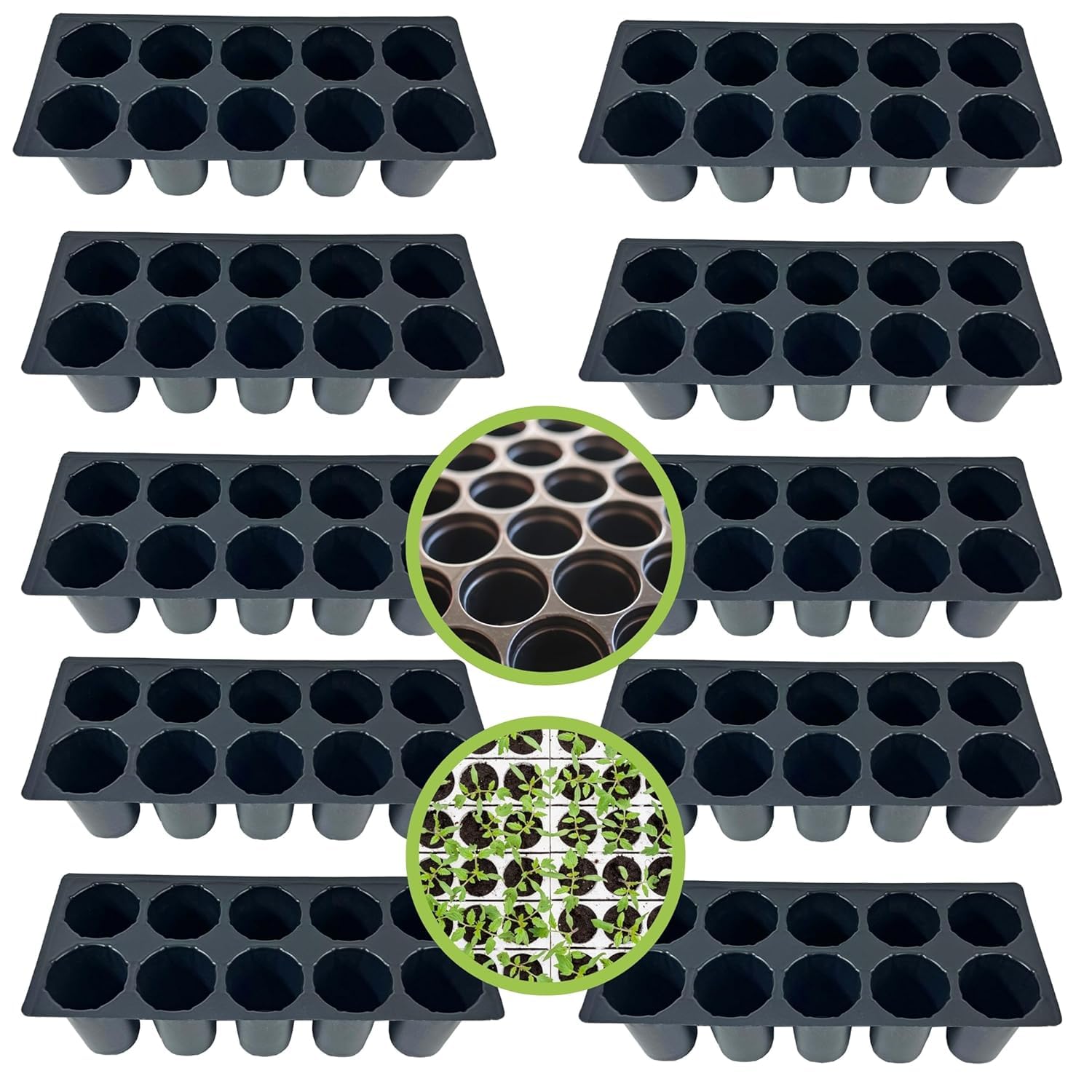 SIDDHI 10 Cavity Seedling Cups (Pack of 10) Plastic Plants Nursery Seedlings Starter Cups/Seed Germination Tray for The Primary Germination for Seeds. (B0D8TKFXXB) Amazon Price History, Amazon Price Tracker