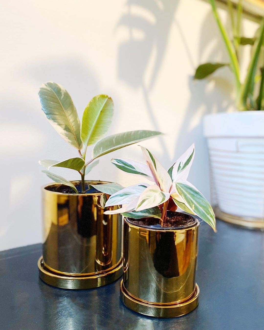 POTEY Ceramic Pots for Plants - 3.8 inch + 5.1 inch Planter Cylinder Flower with Drain Hole Sacuer Minimalism for Indoor Garden Glazed - Set of 2, Golden