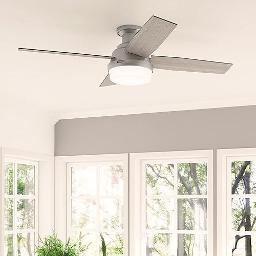 Miniatura 4 de Hunter Fan Company 51736 Dempsey - Ventilador de techo, 52, color plateado