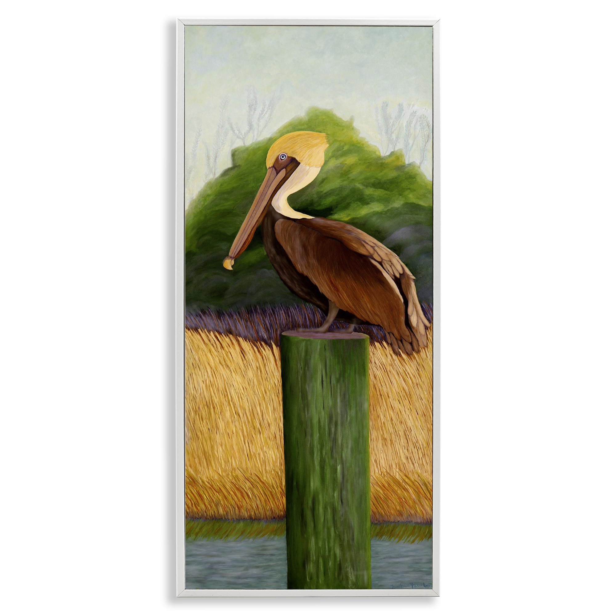 Stupell Industries 'Perched Blue Eyed Pelican', Framed Giclee Art, White, 10 x 24 Inches, Easy to Hang and Sturdy, Made in USA, by Barbara Fallenbaum