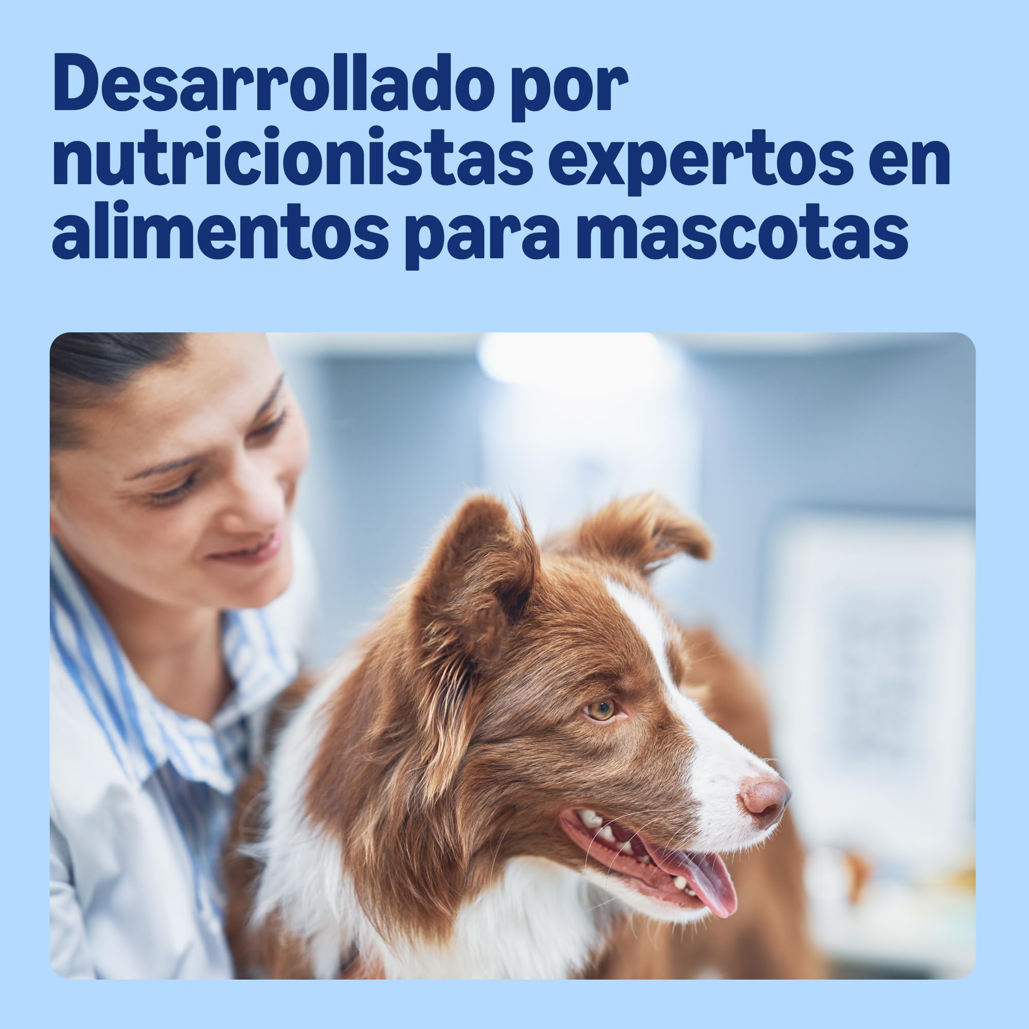 by Amazon Alimento Completo para Perros Adultos - Selección de Carne en Salsa, 4,8kg (48 Paquetes de 100g)