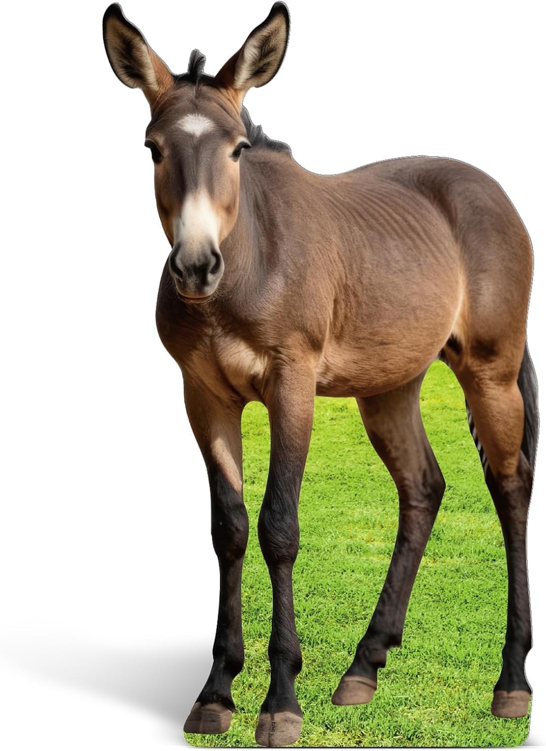 2FT Donkey Cardboard Cutout Life-Size Animal Cutout Realistic Farm Animal Photo Booth Prop Decor for Parties, Farm-Themed Events, Classrooms, Birthday Decoration Supplies 14.13 x 23.62 Inches
