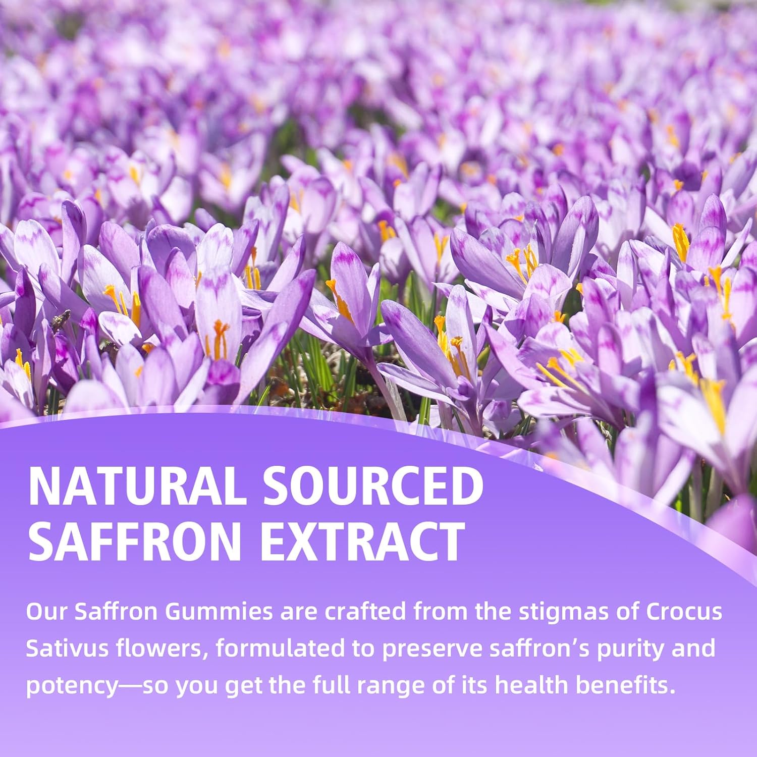 Saffron Gummies 88.5mg - Saffron Supplements with Magnesium, Rhodiola Rosea, Ashwagandha, L-Theanine, St. John's Wort, Vitamins D3 & B6, Zinc - Supports Zzz, Focus, Pineapple Flavor, 60 Count - Image 5