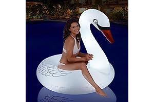 Floating Glam Swans for Posh Pool Parties