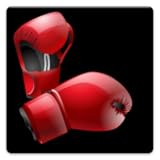 Boxing Timer