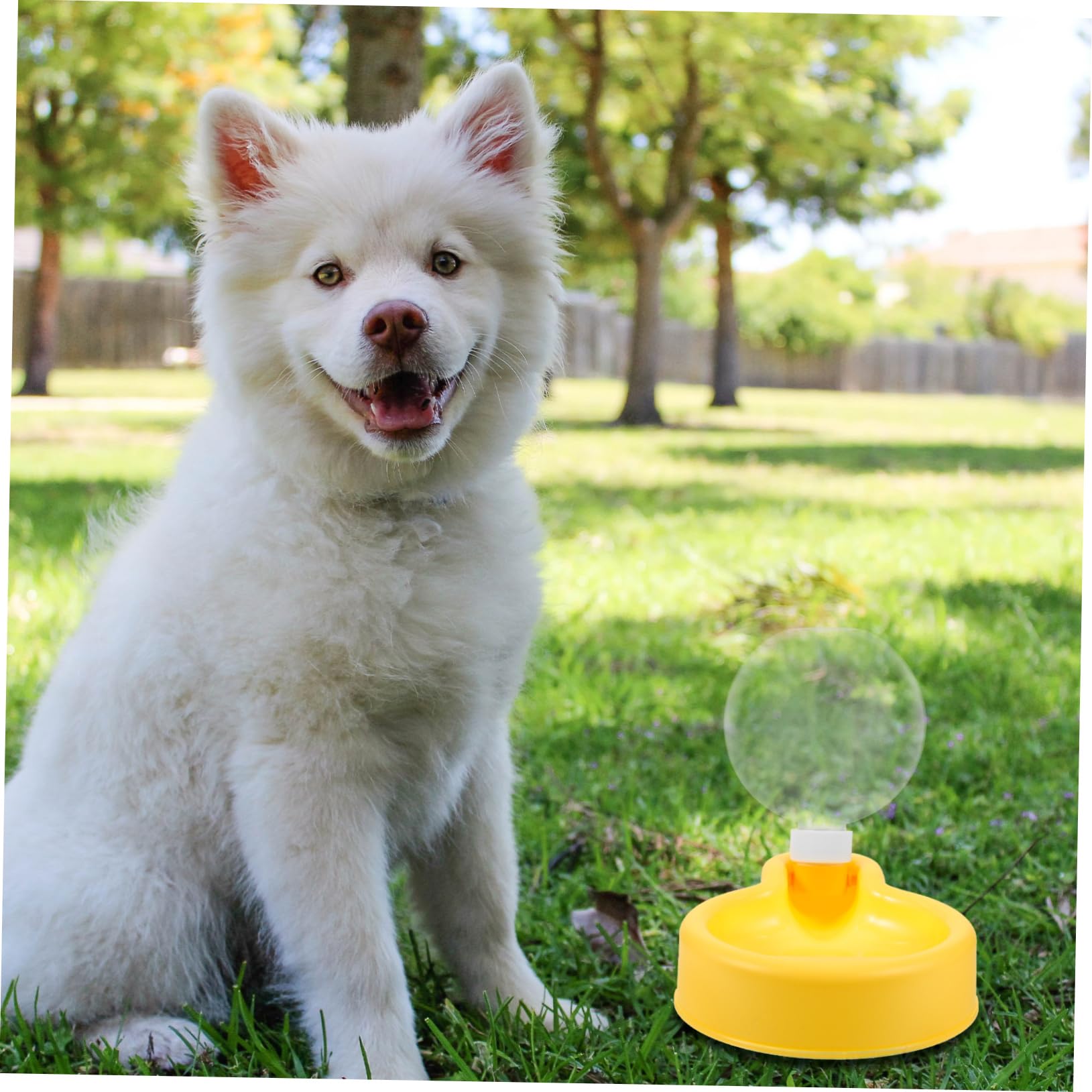 BESPORTBLE 5piezas Botella De Agua para Perros Portátil De Gran Capacidad Bebedero para Mascotas Actividades Al Aire para Caminatas y Paseos Cachorros