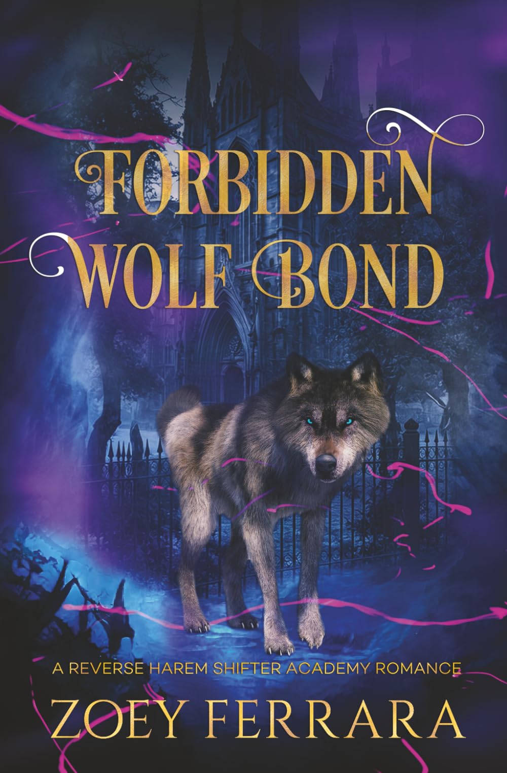 Forbidden Wolf Bond: A Reverse Harem Shifter Academy Romance: 1 (Blackrowe Academy)
