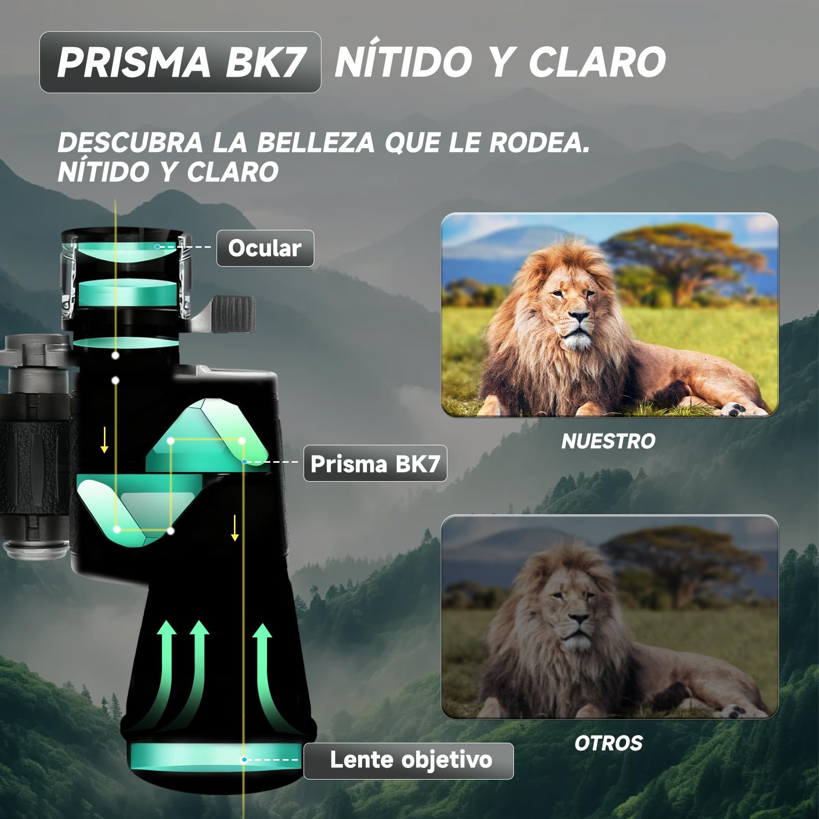 Binoculares 7x50 Profesionales - Visión Nocturna y Poca Luz, Prismas PORRO BK-7, Lentes Multicapa - para Observación de Aves, Astronomía, Senderismo y Deportes