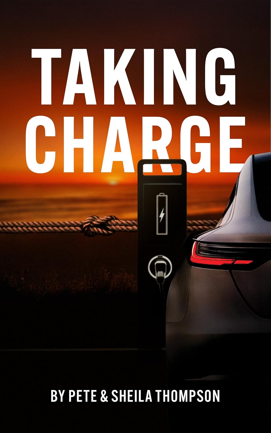 Taking Charge      Kindle Edition