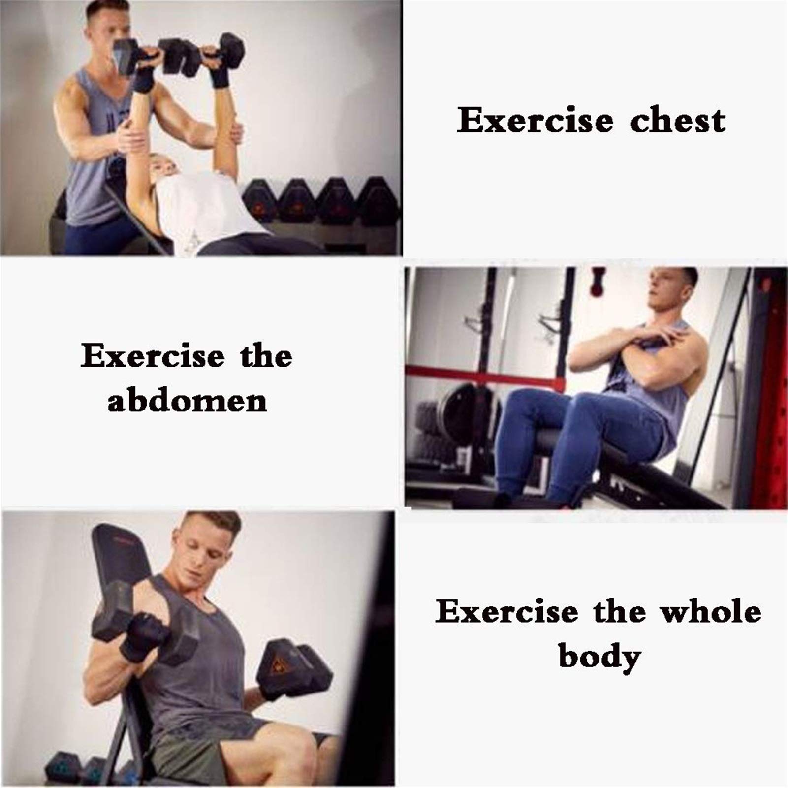 Panca con manubri Panca Pesi Regolabile Panca Piana/inclinata/declinata Panca da Allenamento per Esercizi Sit Up Attrezzatura da Palestra per casa per Allenamento Completo del Corpo
