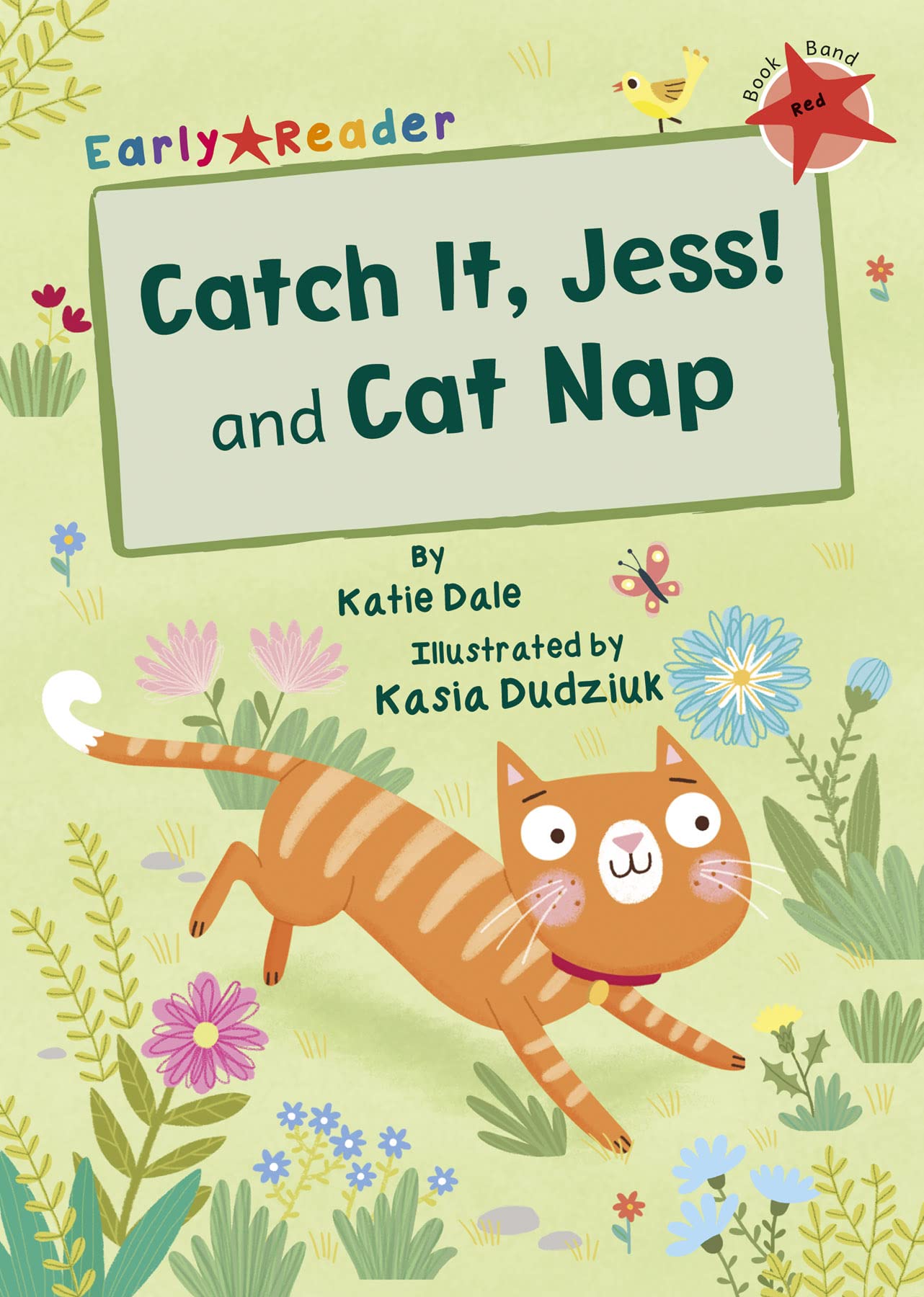 Maverick Early Reader Red (Level 2): Catch It, Jess! And Cat Nap