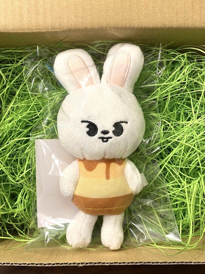 Amazon.co.jp: straykids スキズ リノ リービット グッズ セット 