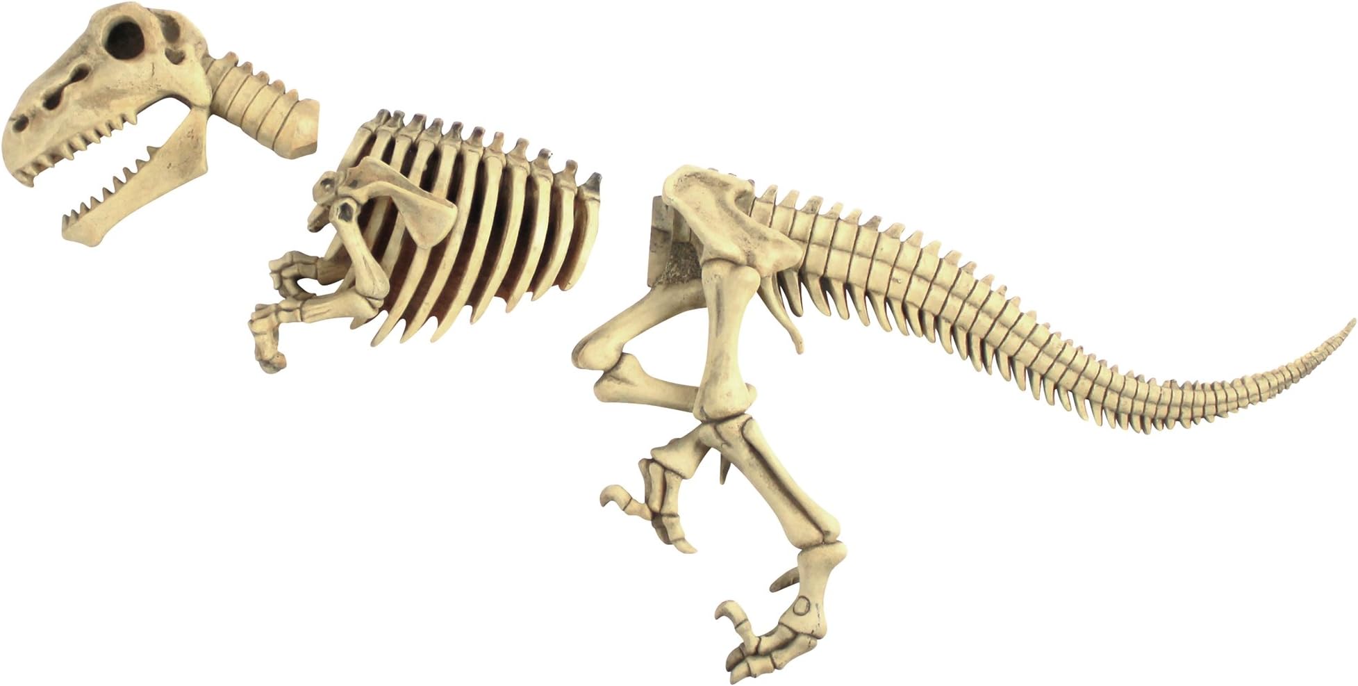 Design ToscanoDB383021 Raptor Skeleton Garden Sculpture,full color