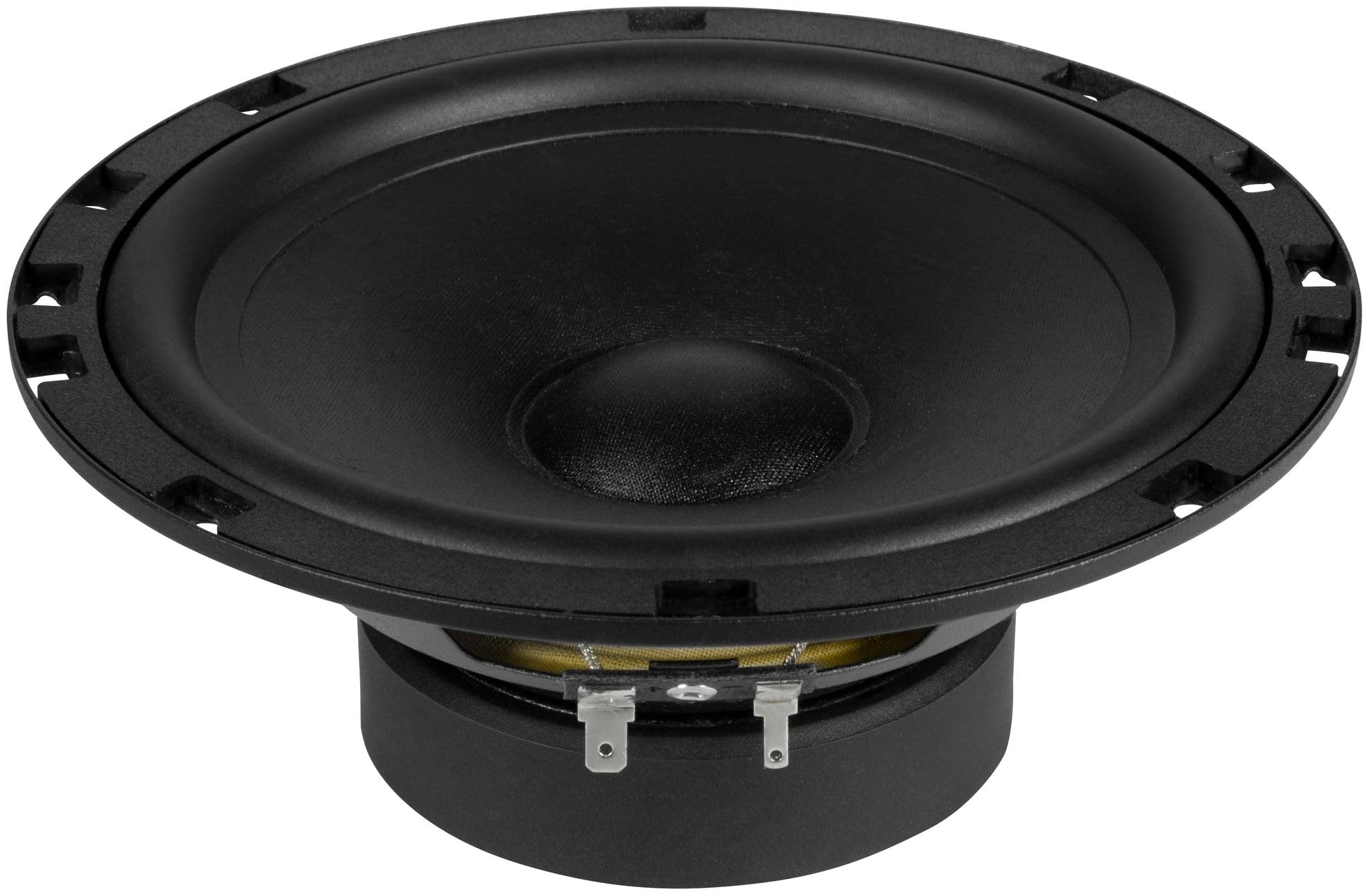 ESX Quantum Active Subwoofer System Q300A