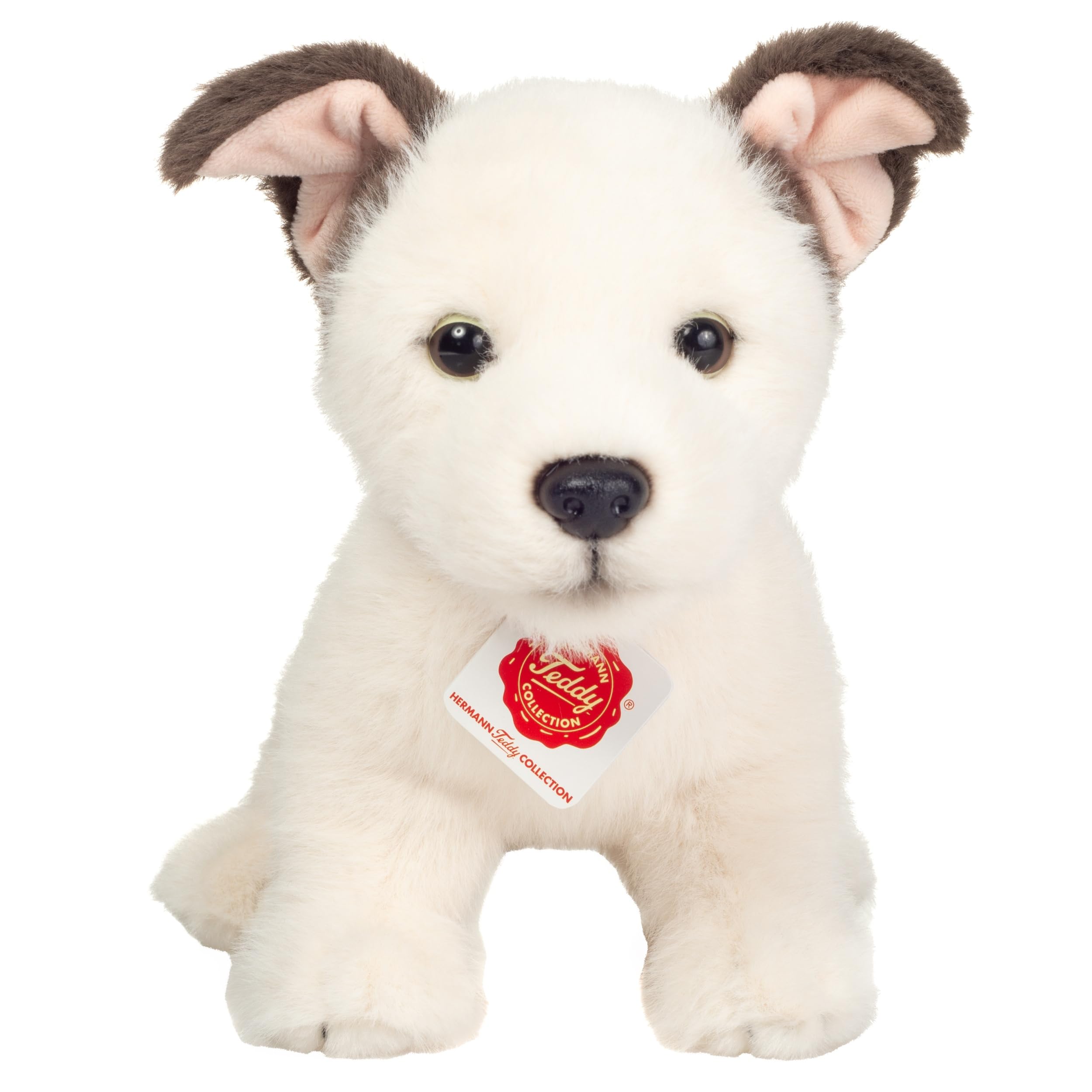 View 2