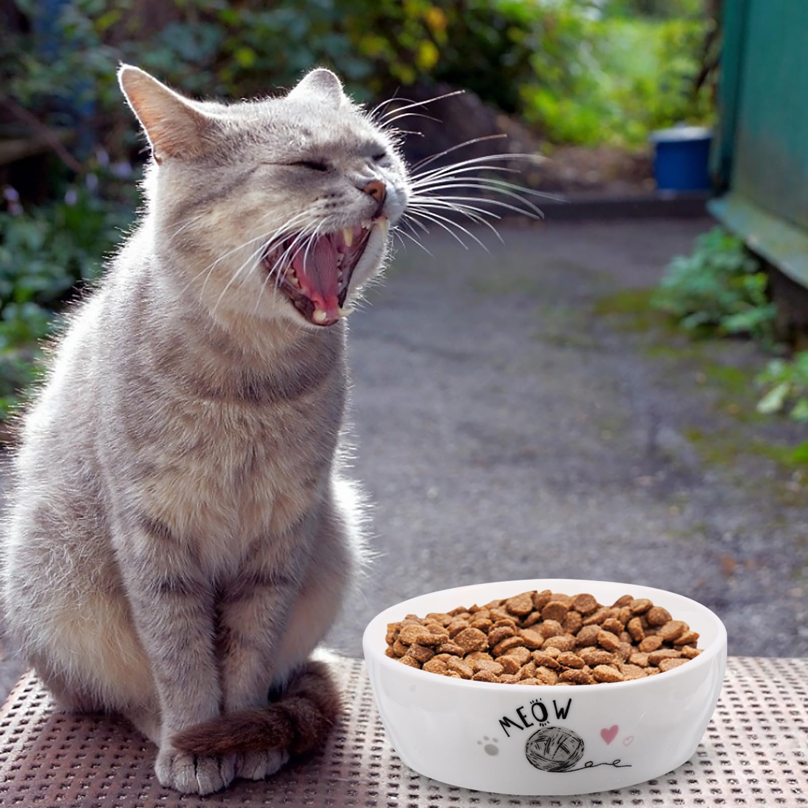 Keramik Futternapf für Katzen rutschfest mit Cartoon Motiv zum Füttern und Trinken