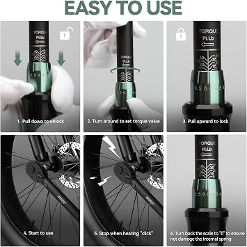 DISEN 9PC Click Torque Wrench Set 1/4 3/8 1/2 3% Accuracy Storage Box | 20-220 In.lb, 5-45 Ft.lb, 10-170 Ft.lb| 6 adapters | 72-tooth ratchet | Dual scale | For bike, car,motorcycle,truck repair