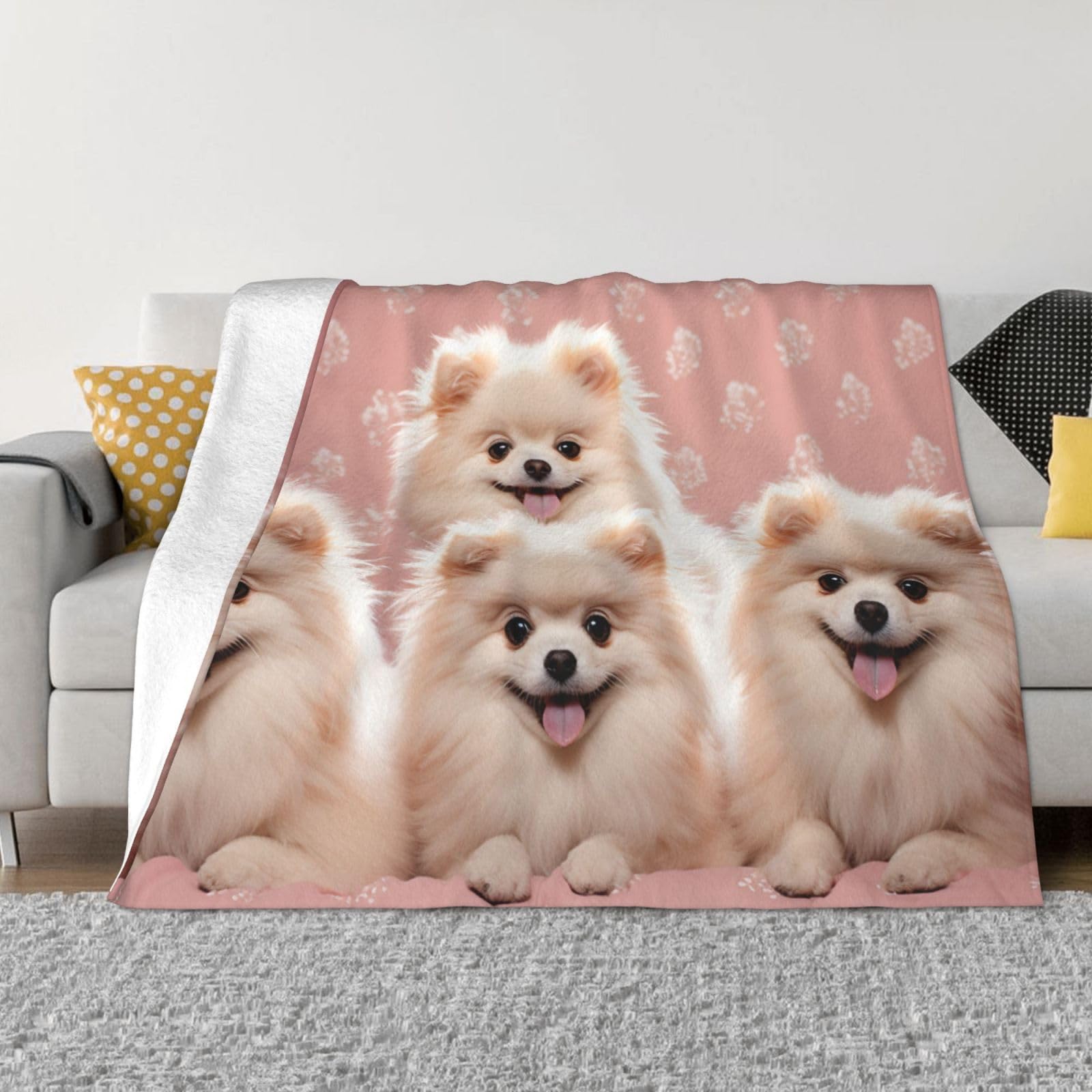 Couverture polaire chiots Poméranie plaid lit canapé chambre salon toutes saisons