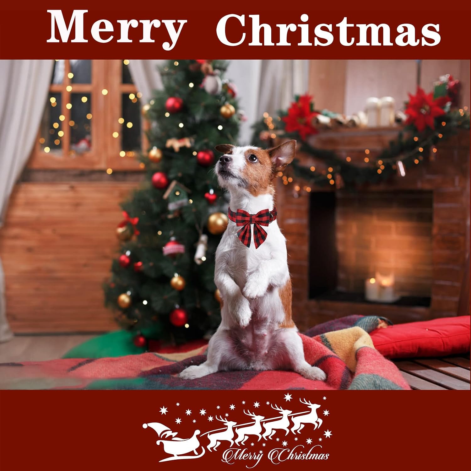Unique style paws Christmas Dog Collar with Bow Tie Classic Red Plaid Puppy Collar for Small Medium Large Dogs as Holiday Winter Gifts-XS image 5
