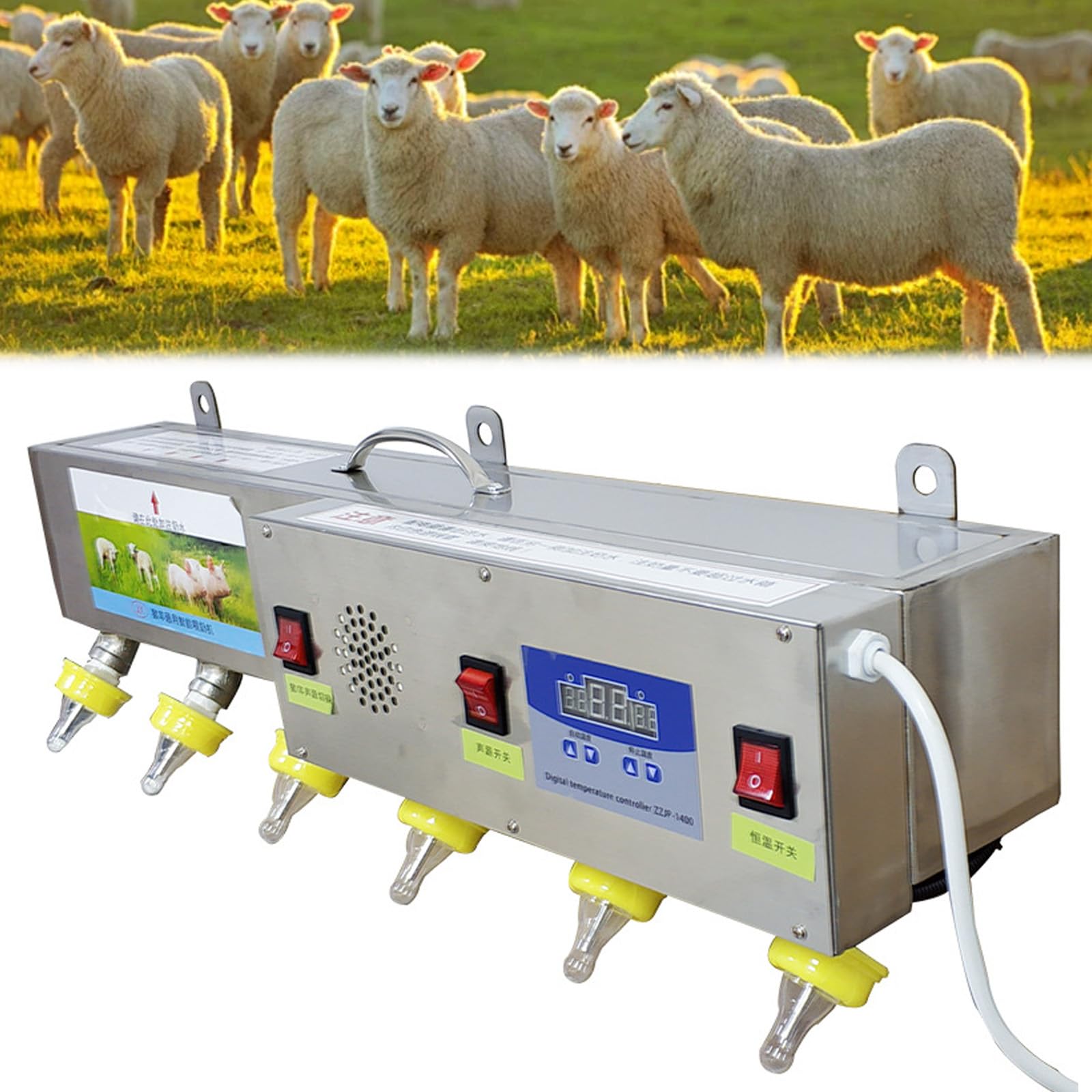 Éviter le lait froid avec la mangeoire automatique pour agneaux