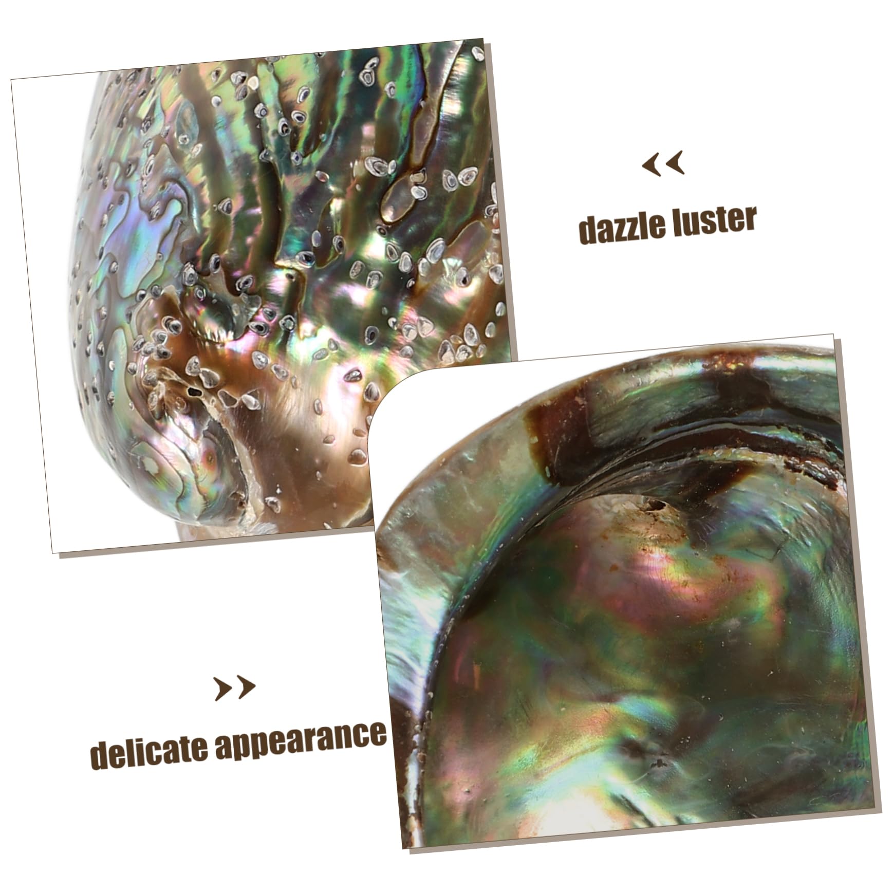 Veemoon Abalone-Meeresmuschel Accessoires,Große Abalone-Schale Für Hochzeit- Heimdekorationen DIY Decorative Accessoires Party
