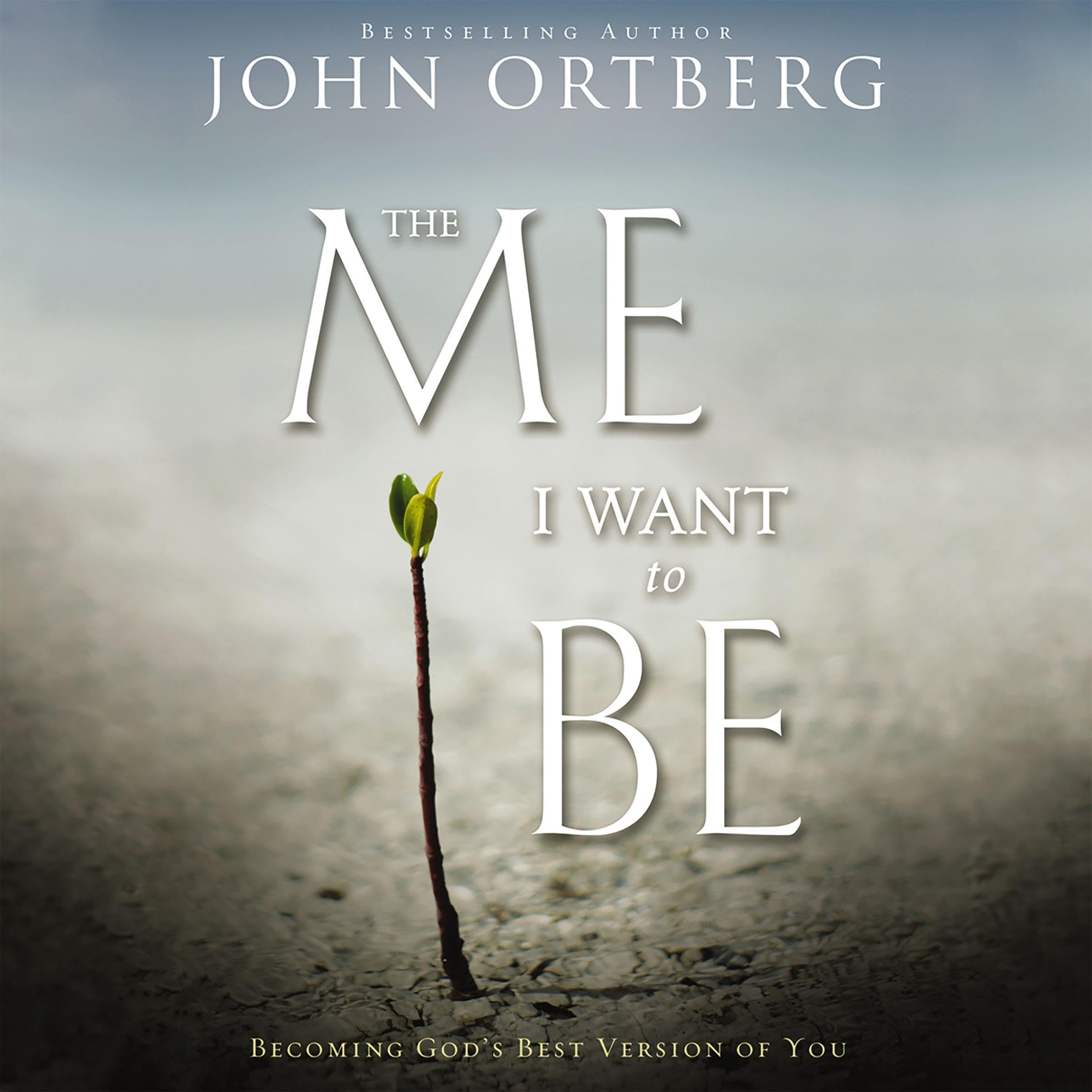 Cover art for The Me I Want to Be