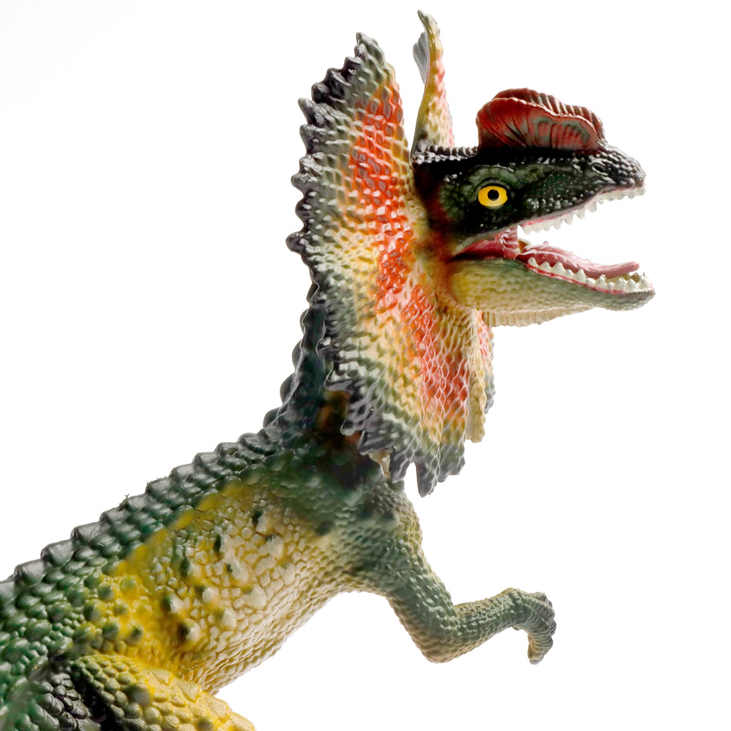 Amazon.co.jp: 10インチ ディロフォサウルス ソリッドダイナソー