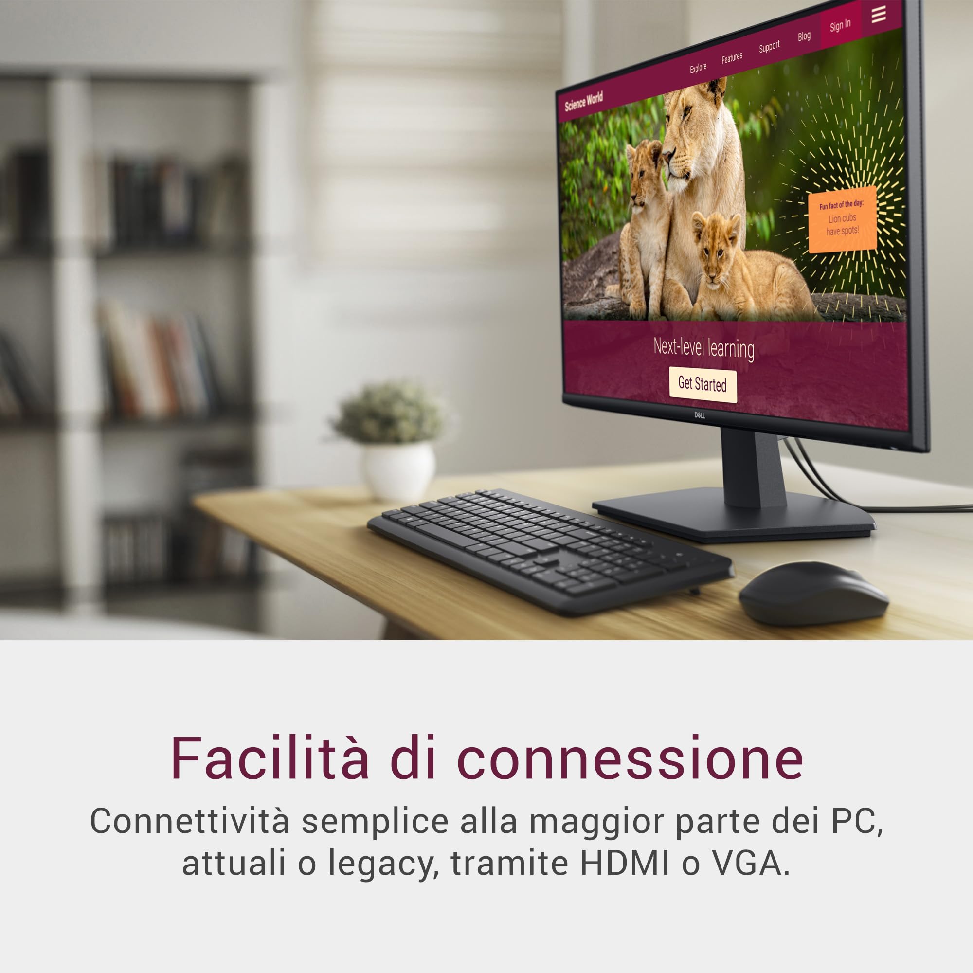 Dell 27 Monitor - SE2725HM, Full HD (1920x1080), 100Hz, IPS, 5ms, VESA (100x100mm), HDMI, VGA, 3 Anni di Garanzia, Nero