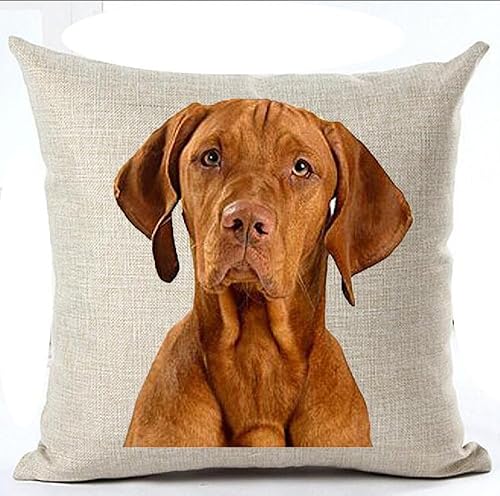 Miniatura 5 de FELENIW Funda de cojín para mascotas diseño de bulldog inglés Love People Friend Throw funda de cojín de algodón y lino material decorativo cuadrado