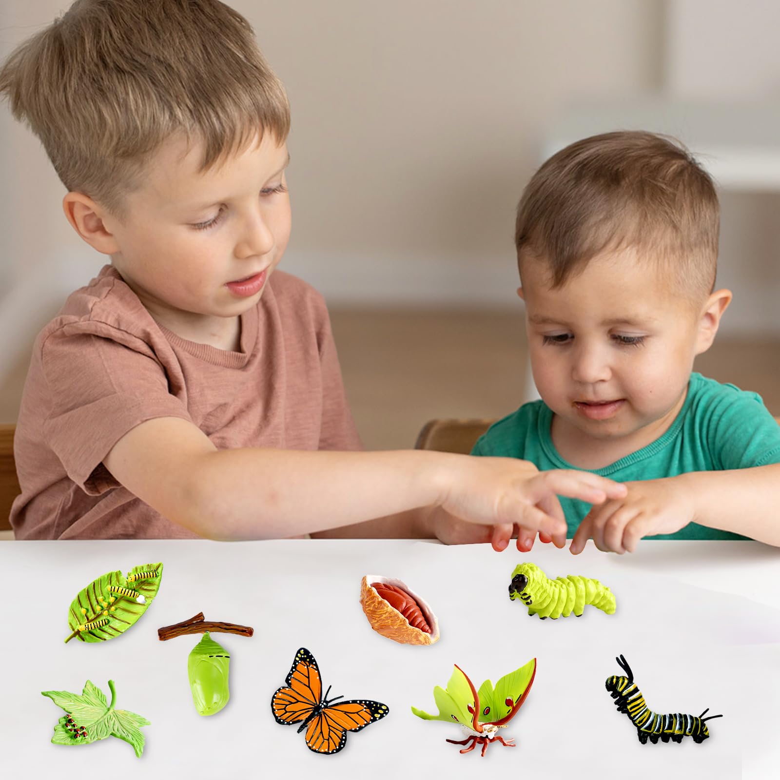 Ciclo de vida de la mariposa -Montessori Animales - Herramienta de ayuda para enseñar