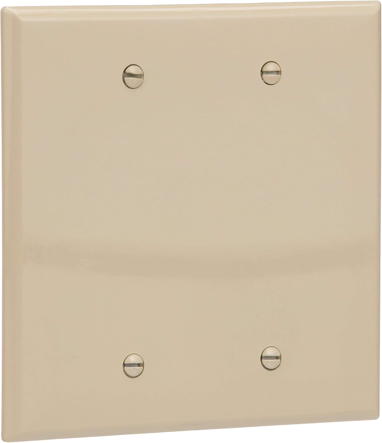 Blank 2-Gang Mid-Size Wallplate, Ivory