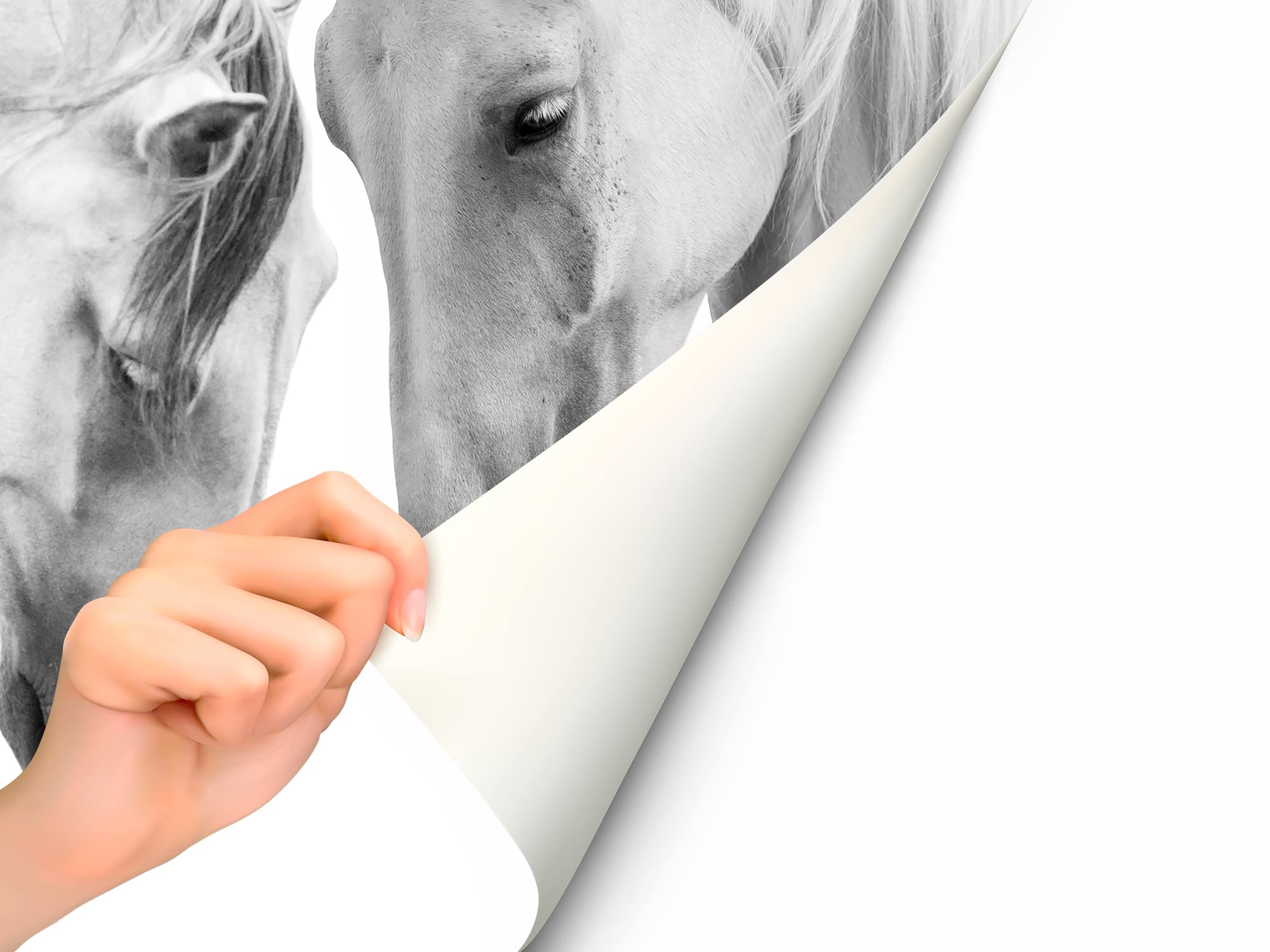 Papel Pintado Para Pared Caballos Blancos | Fotomural para paredes | Mural | Papel Pintado | Varias Medidas 200 x 150 cm | Decoración comedores, salones, habitaciones...