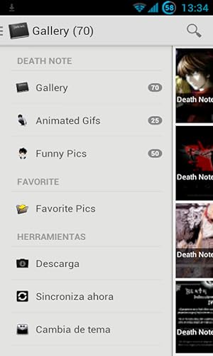 Death Note Fan