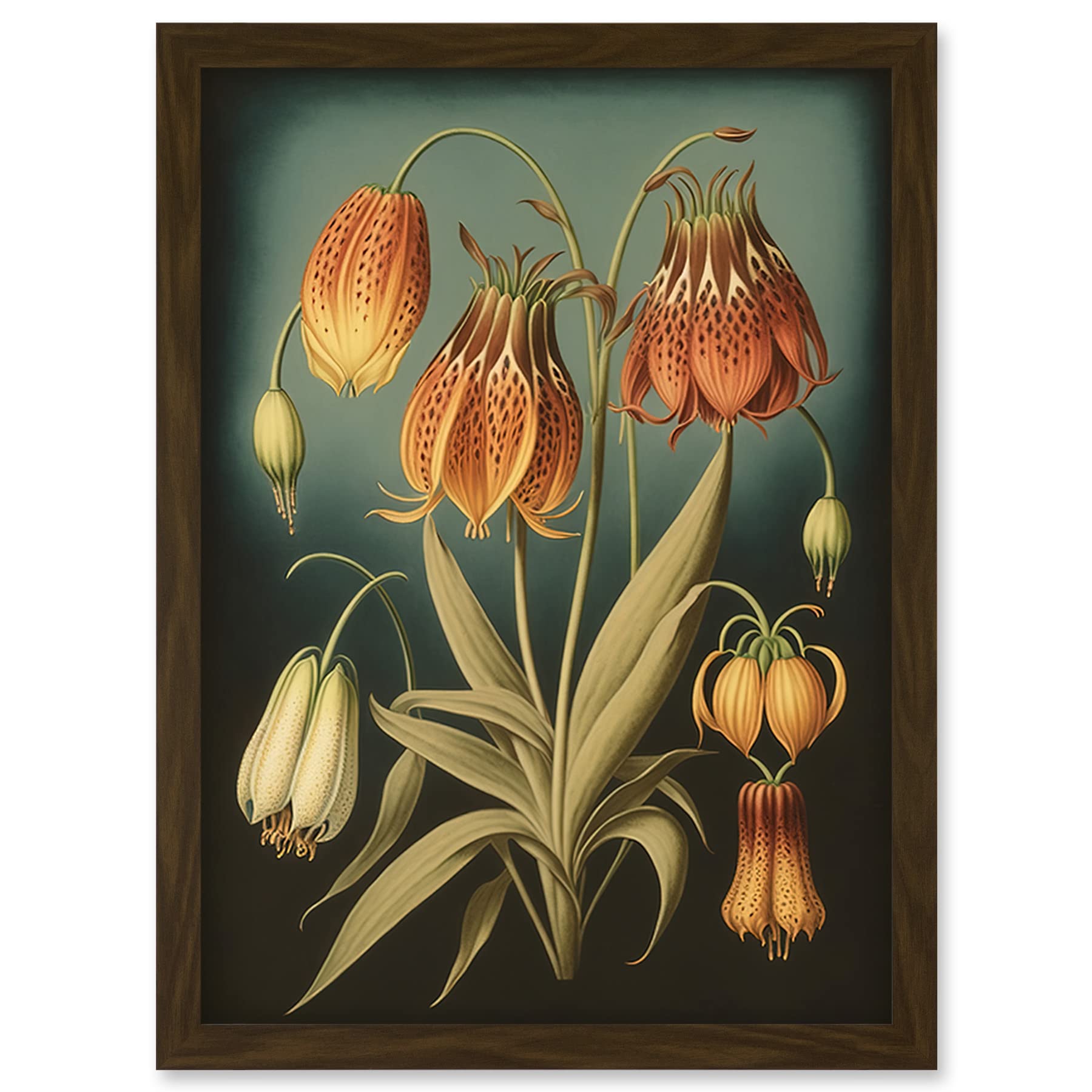 Artery8 Fritillaria Flower Plant Ernst Haeckel Inspired Plant Study Modern Watercolour Painting Illustration Artwork Framed Wall Art Print A4