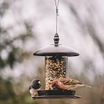 Feeder d'oiseaux métalliques pour la suspension extérieure,Feeders d'oiseau sauvage pour Cardinal, Grand toit et Plateau - 6 Port