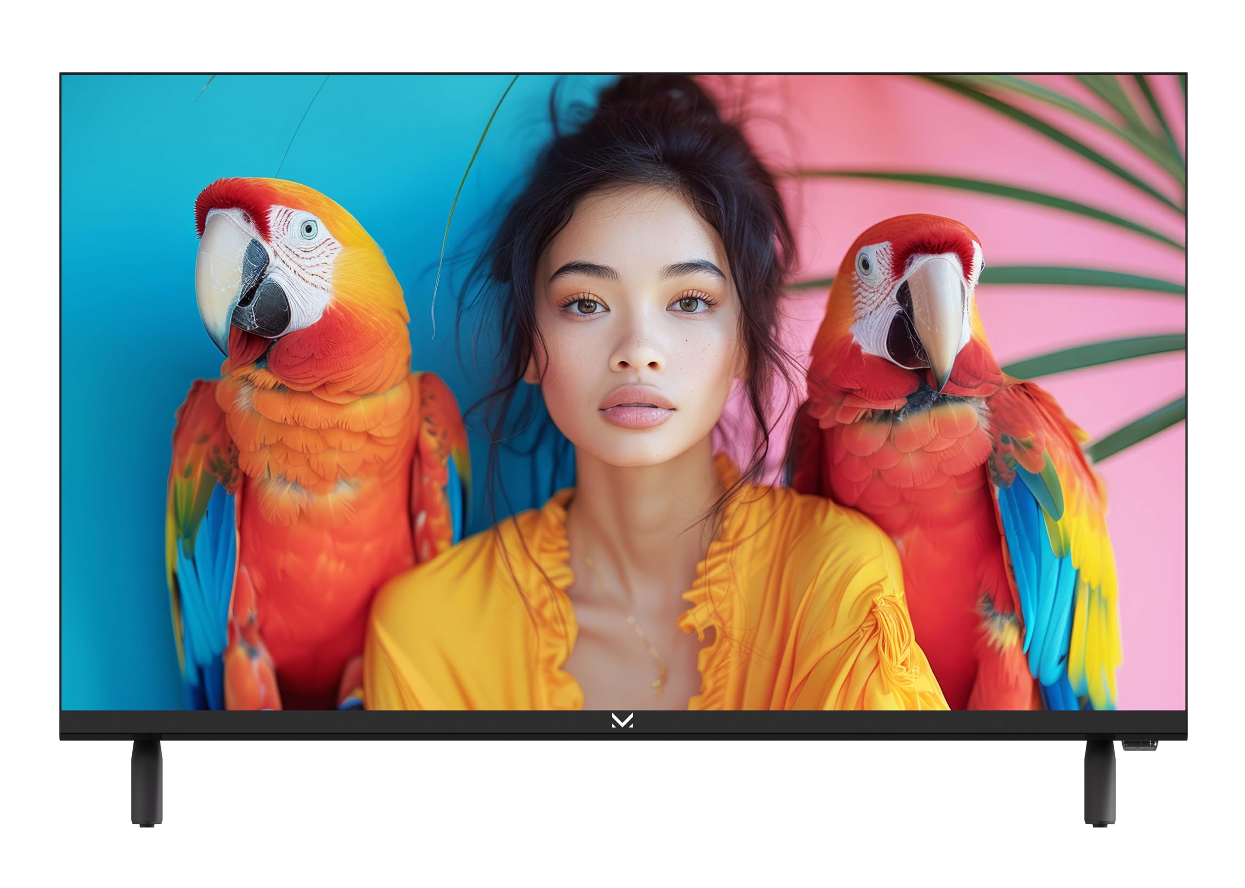Majestic FL324TK V1 - Televisore SMART LED HD READY 24" doppia alimentazione (12/24V e 220V), Sistema operativo VIDAA, Wi-Fi, DVB-T/T2 e DVB-S/S2, Telecomando, 2 USB, 3 HDMI