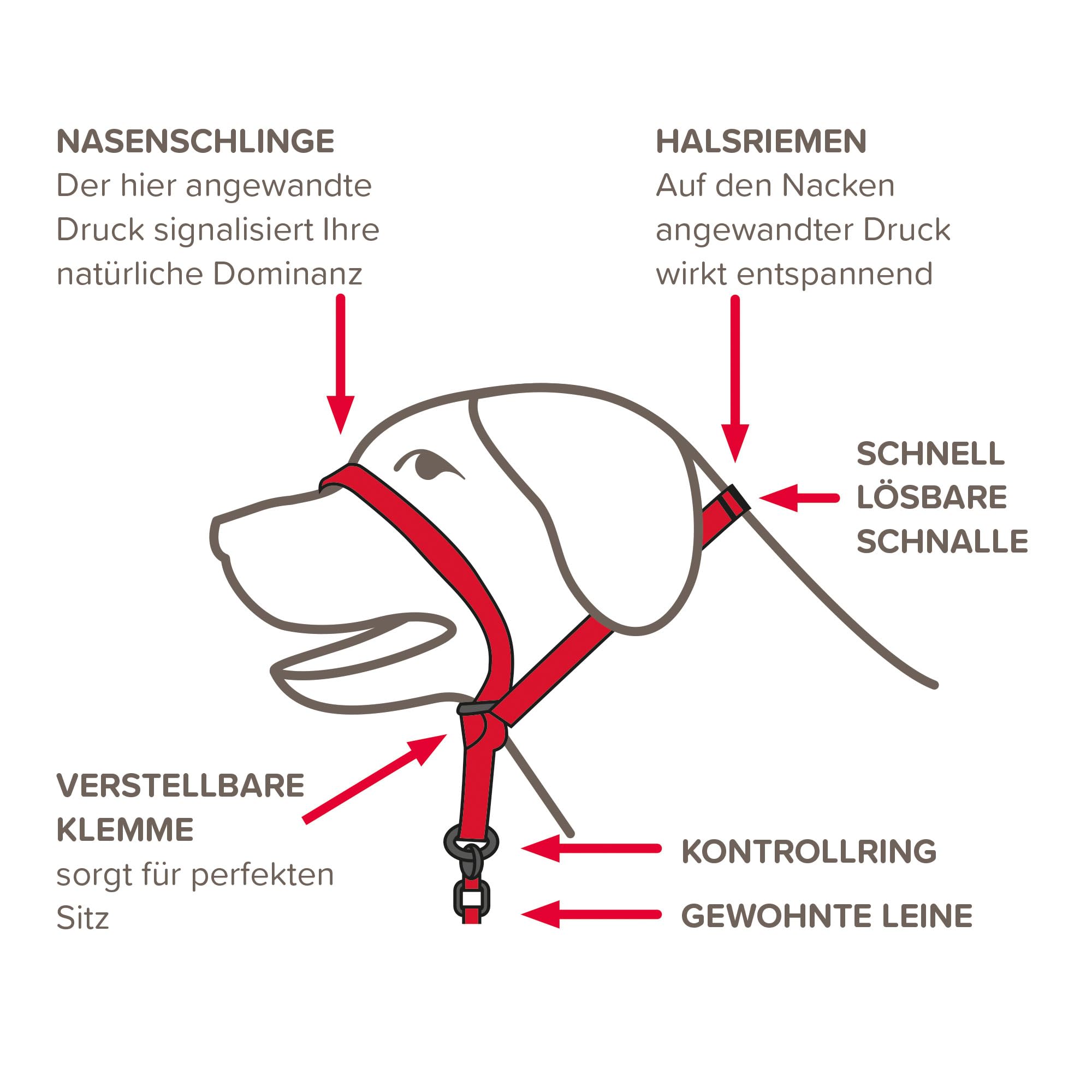 BEAPHAR - Gentle Leader® - Hundehalfter Für Große Rassen - Aus Nylon - Trainingshilfe Zur Kontrolle Und Führung - Von Tiertrainern Empfohlen - Größe L - Schwarz