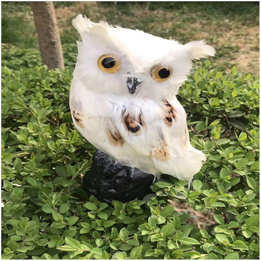 フクロウ 置物 Amazon.co.jp: フクロウ 置物 オブジェ 北欧 F ふくろう 梟