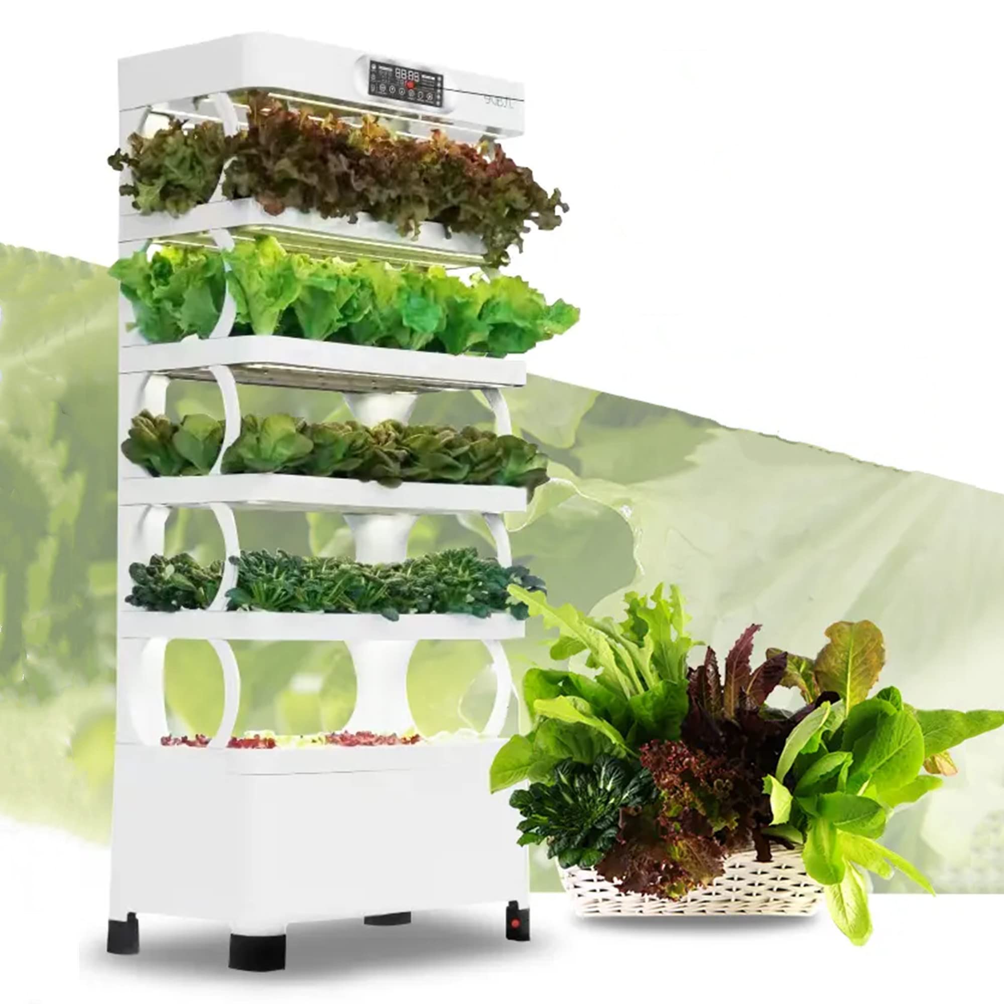 ★送無！新品！「アブラカダブラ」+「ガラスの植物園」 N PLANTS ORIGINAL HYBRID 007 ］8 | N PLANTS