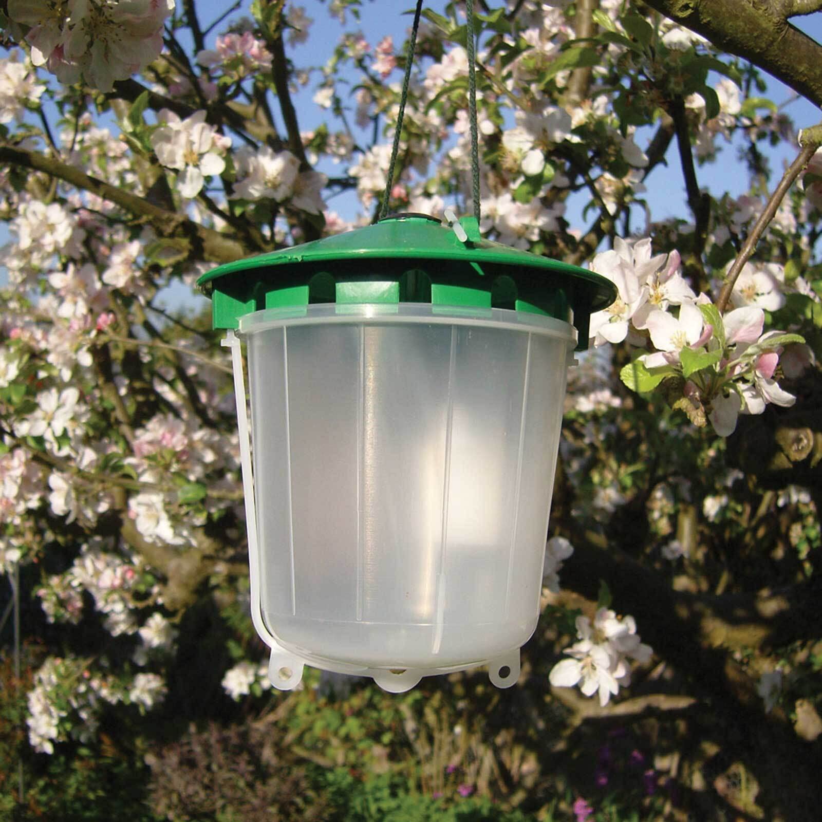 Dragonfli Codling Moth Pheromone Trap - Reusable Glue Free Trap