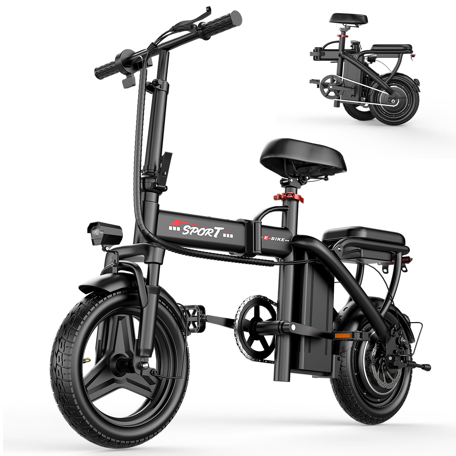 RPINT Foldable Electric Bike for Adults