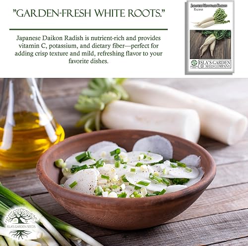 Miniatura 5 de Semillas de rábano japonés Minowase Daikon para plantar, más de 100 semillas tradicionales por paquete, semillas de jardín de Isla (semillas de