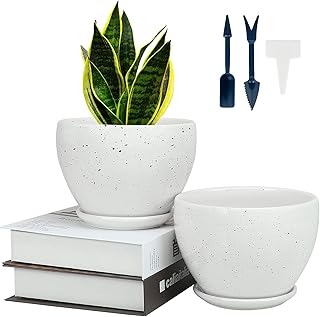 Livabber 5 Inch Round Ceramic Planters with Connected Saucer and Drainage Hole for Succulent Snake Plants, Jade Plant, Her...