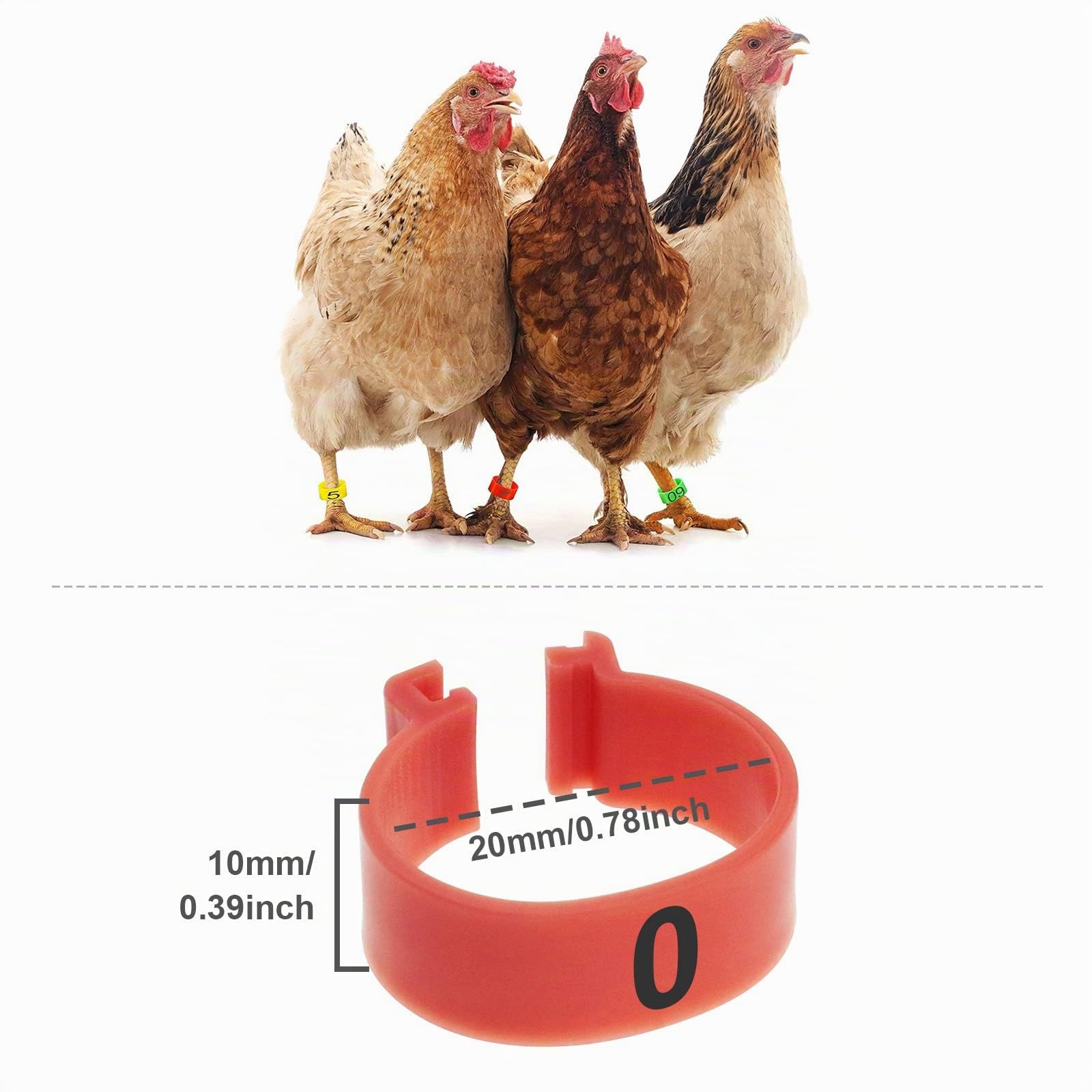 EMSea 60pcs 20mm Bagues/Anneaux de Pied pour Oiseaux Pigeon Poulet Canard Volaille en Plastique Remplacement