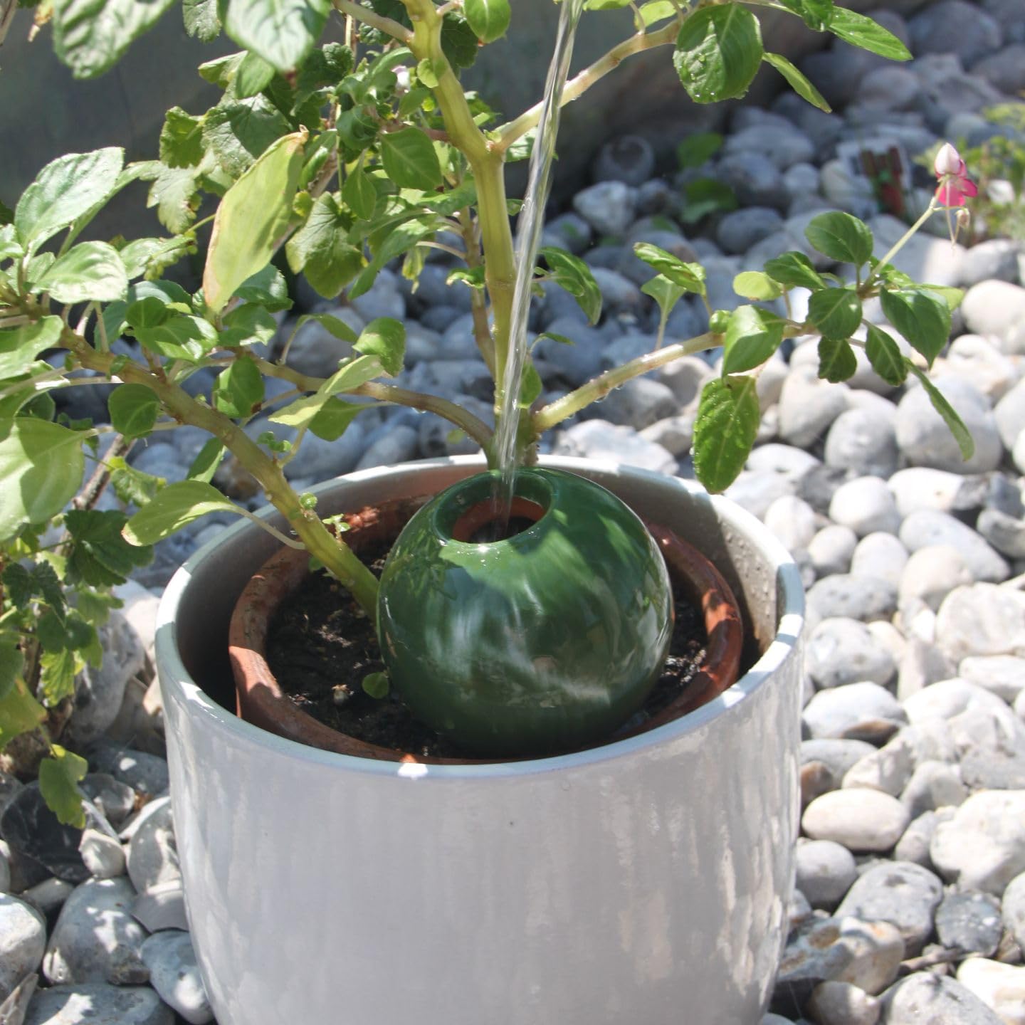 OLLAS LUTTON Olla Terre Cuite à Enterrer 1L | Arrosage Autonome Pour Plantes D'Extérieur Ecologique & Economique | Système D'Irrigation Naturel | Autonomie 3 Jours | Oyas Terracotta