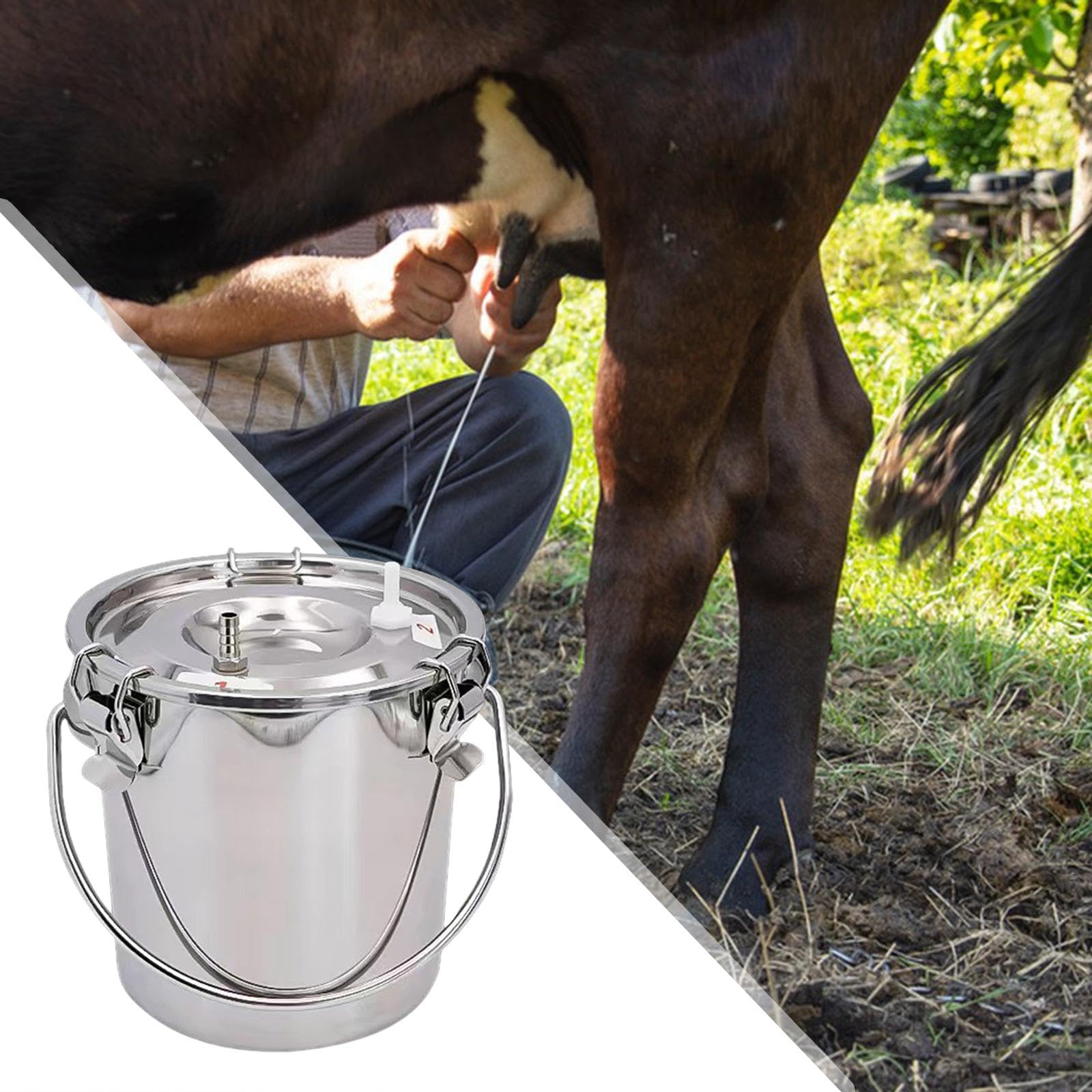 Juego de 2 cubos de ordeñadora para ordeñadora, para vaca, oveja, caballo, 3 L, plateado