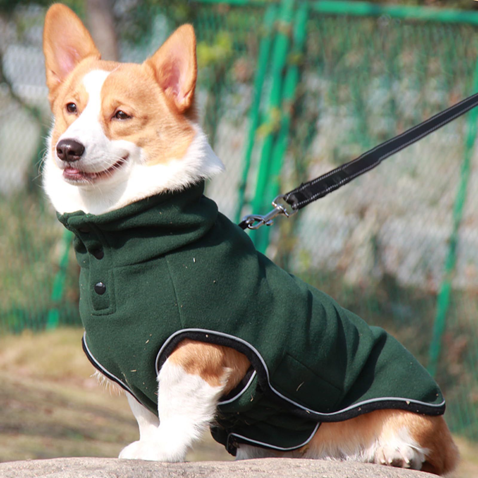 Vestiti per cani Media Size Abbigliamento per cani Pet Cold Weather Giacche Pet Fashion Gilet per passeggiate serali