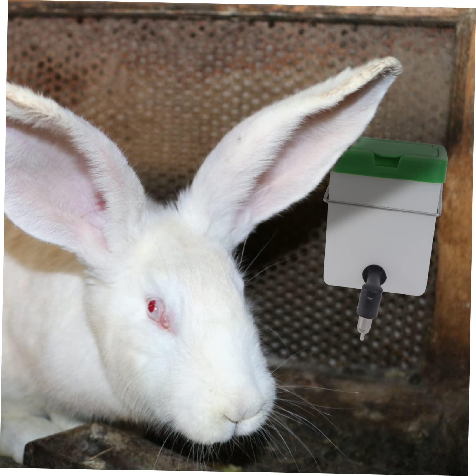 INOOMP 3pezzi Distributore Automatico Per Conigli Bottiglia Per Animali Domestici Facile Da Installare e Pratica Adatta Per Ciotole e Box Per Del Coperchio