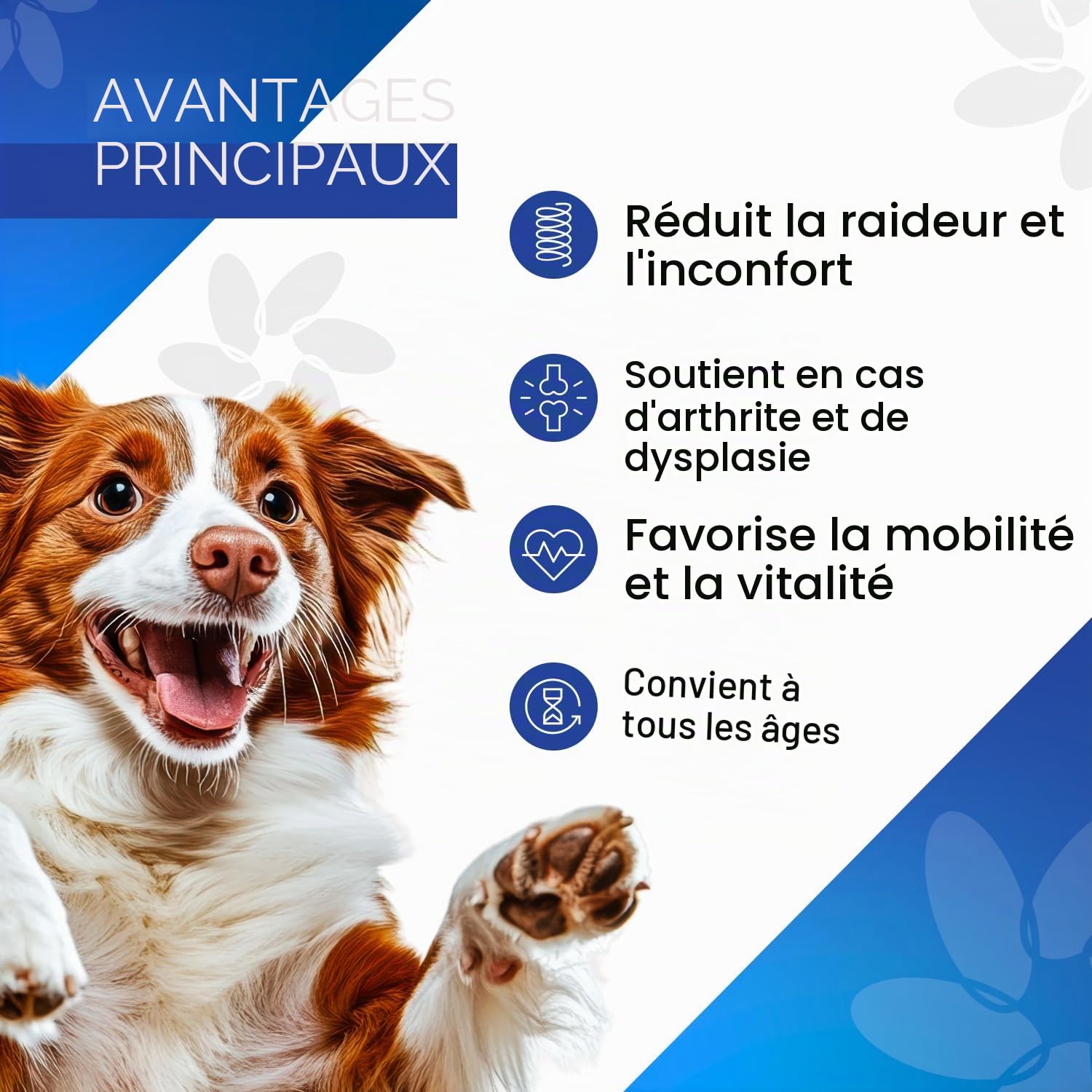 Mobility Care Complément Articulaire Liquide pour Chiens avec Acide Hyaluronique Pur et Vitamine C | Soutien Naturel pour Mobilité, Arthrose, Arthrite et Dysplasie | 100 ML avec Doseur