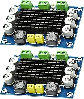 EMBRACENATURE 2X 100W TPA3116D2 Mono Amplifier Board Class DC 12V-26V Digital Audio Power Amplifier Sound Board AMP